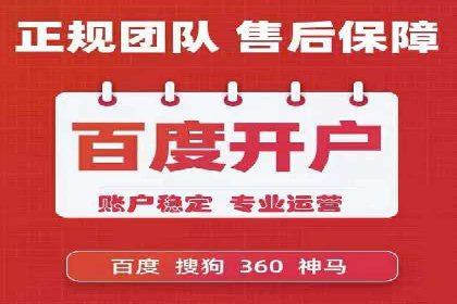 竞价推广公司经典案例：打造行业领先的广告投放效果